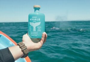 A bottle of Gray Whale Gin in front of a whale