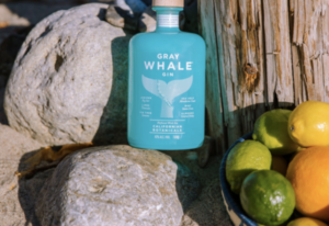 Gray Whale Citrus Bowl