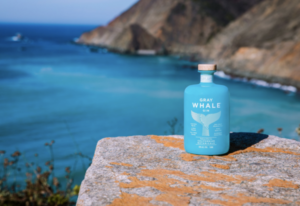 Gray Whale Beach Picture