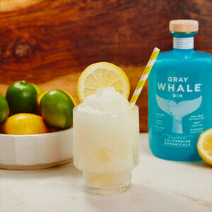 Frozen Whale Hello There gin cocktails